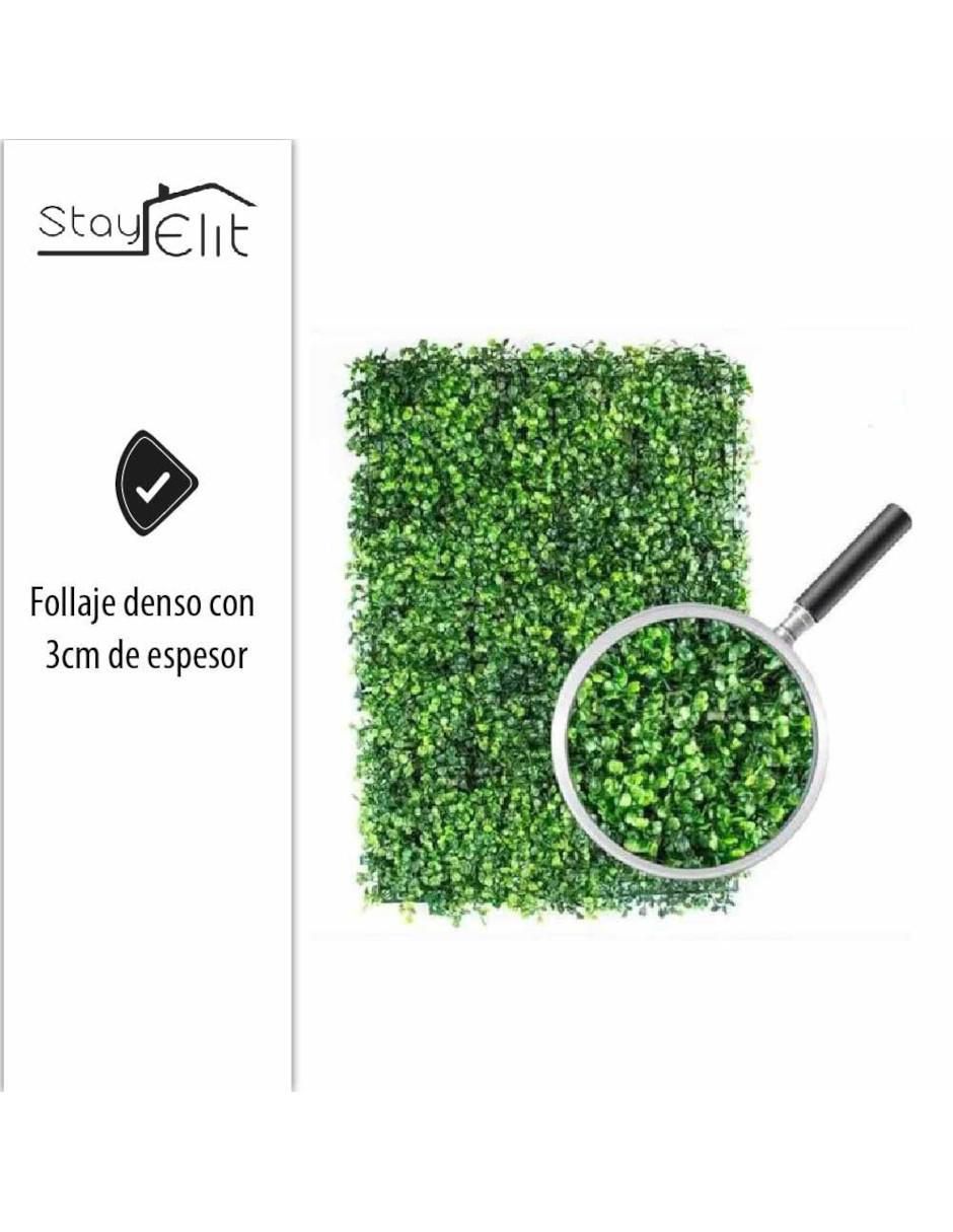 Muro verde 3