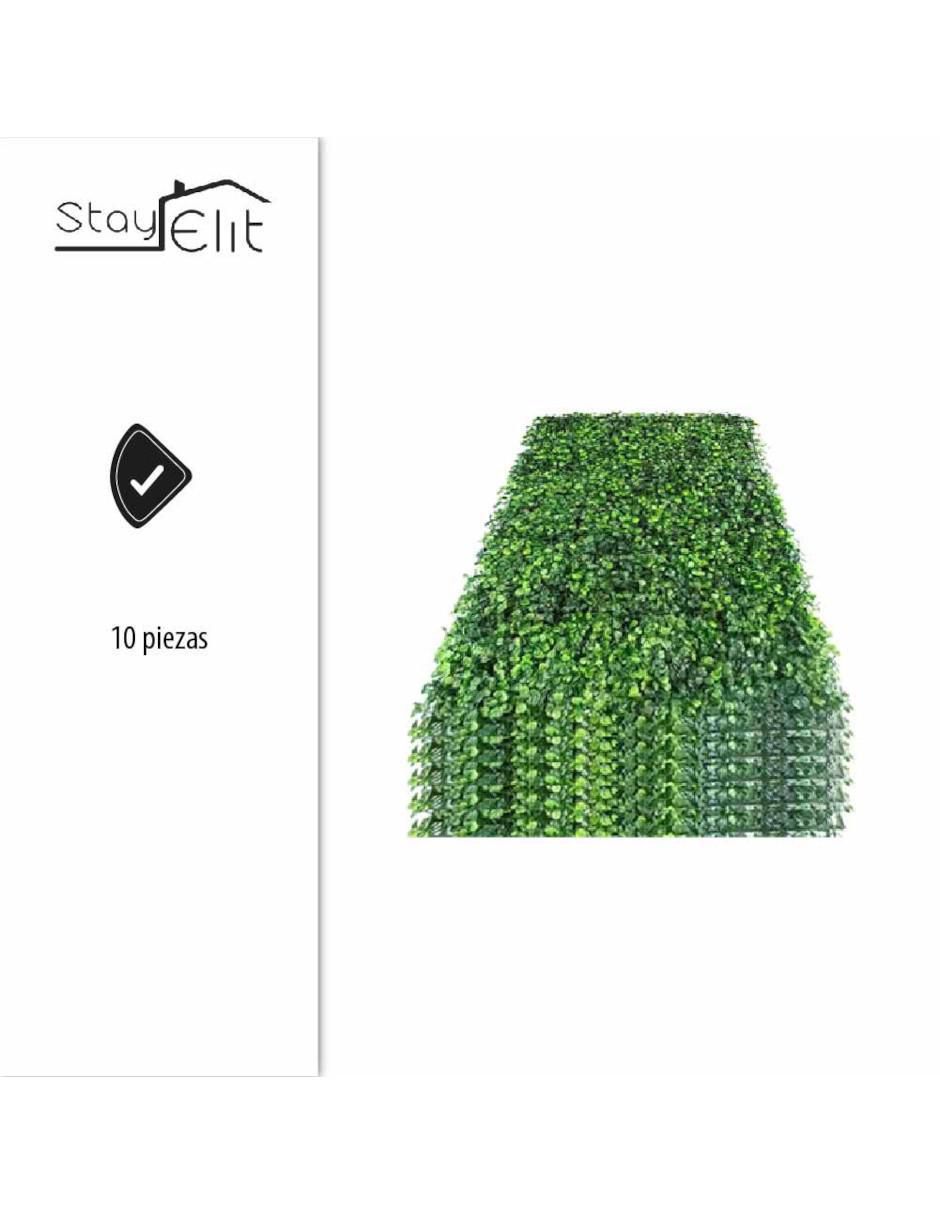 Muro verde 5