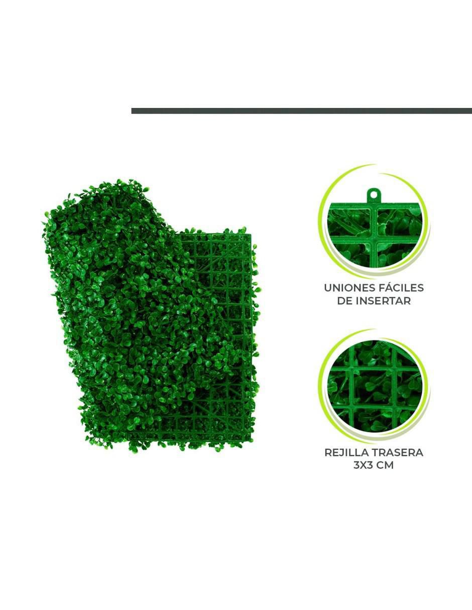 Set muro verde Elleine con 5 piezas