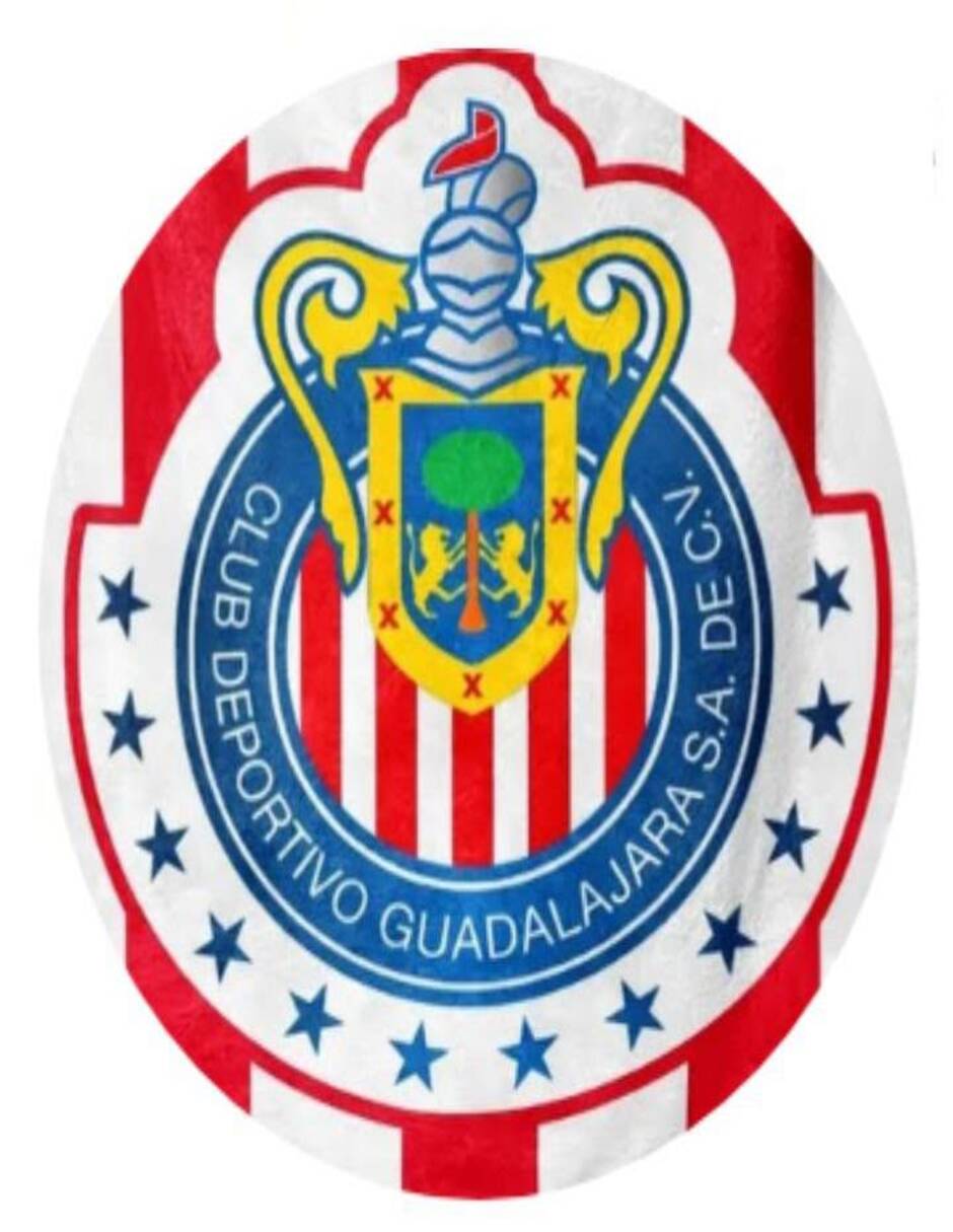 Cojín chivas 2